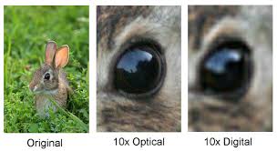 Optical Zoom vs. Digital Camera Zoom - Know the Difference